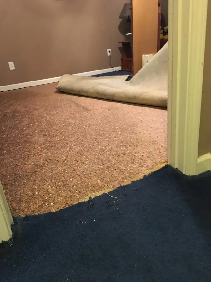 Carpet pad removal revealing water damage during Drying & Dehumidification in Grain Valley