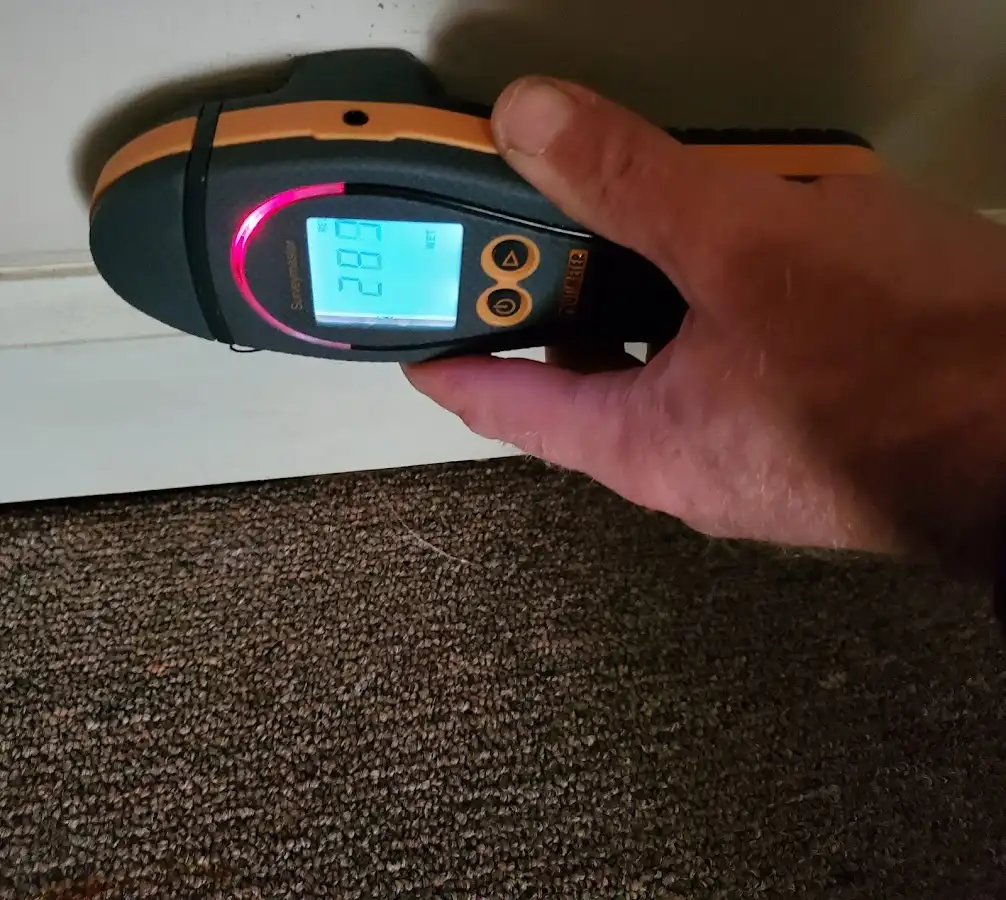 Moisture detection at baseboard during Sewage Cleanup & Sanitation in Grain Valley